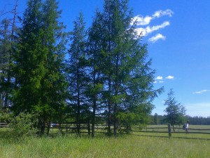IMG_20160329_220012